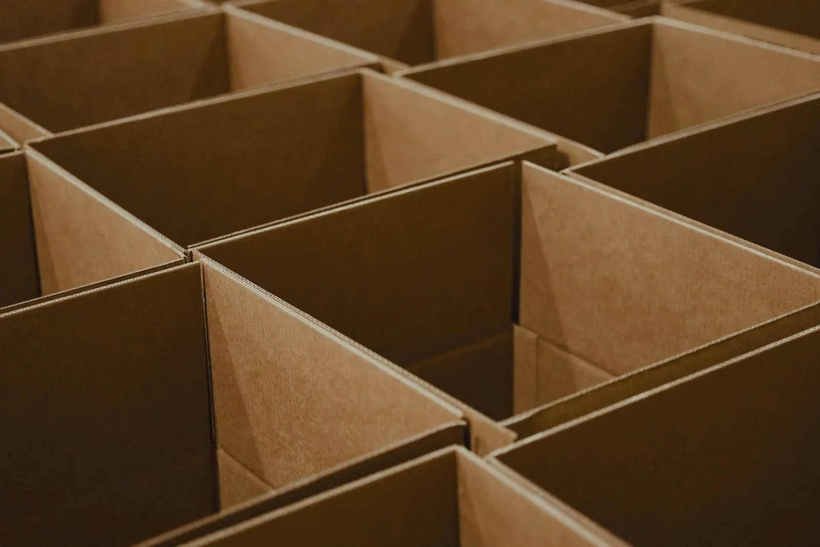 Cajas de cartón con sus divisiones internas